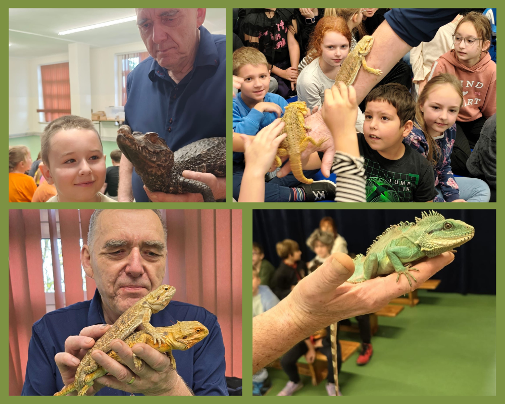 Kolaż zdjęć przedstawiający żywą lekcję przyrody prowadzoną przez pana Andrzeja Pająka.