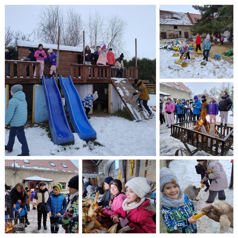 Kolaż zdjęć przedstawiający uczniów ze Szkolnego Klubu Podróżnika podczas wycieczki do Ostoi nad Młynówką.